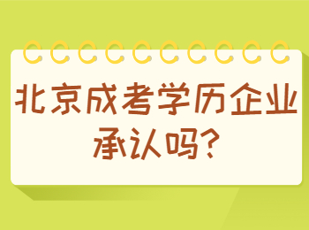 北京成考学历企业承认吗