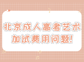 北京成人高考艺术加试