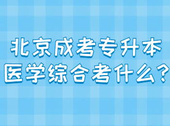 北京成考专升本 北京成考答疑