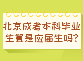 北京成考本科 北京成考答疑