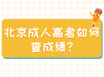 北京成人高考如何查成绩