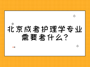 北京成考护理学专业需要考什么