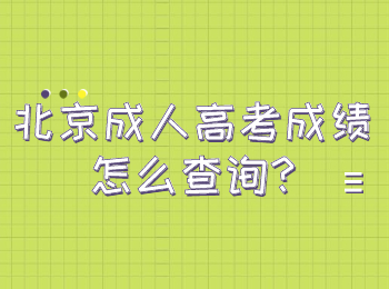 北京成人高考成绩怎么查询