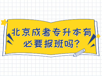 北京成考专升本有必要报班吗