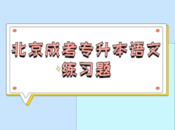 北京成考专升本语文练习题