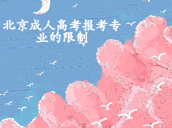 北京成人高考报考专业