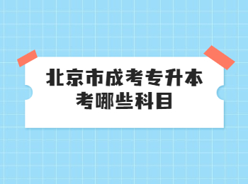 北京市成考专升本