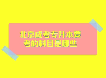 北京成考 北京成考专升本 