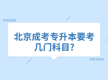 北京成考专升本 北京成考