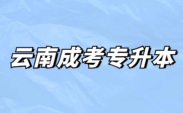 2024年云南成考专升本报考条件？