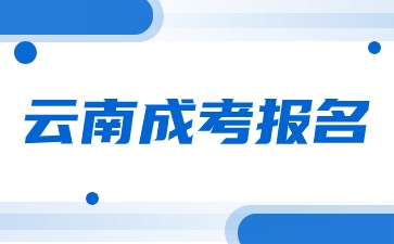 2024年云南成考报名方法？