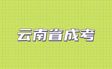 2024云南省成考成绩查询入口？