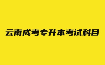 2024年云南成考专升本考试科目？